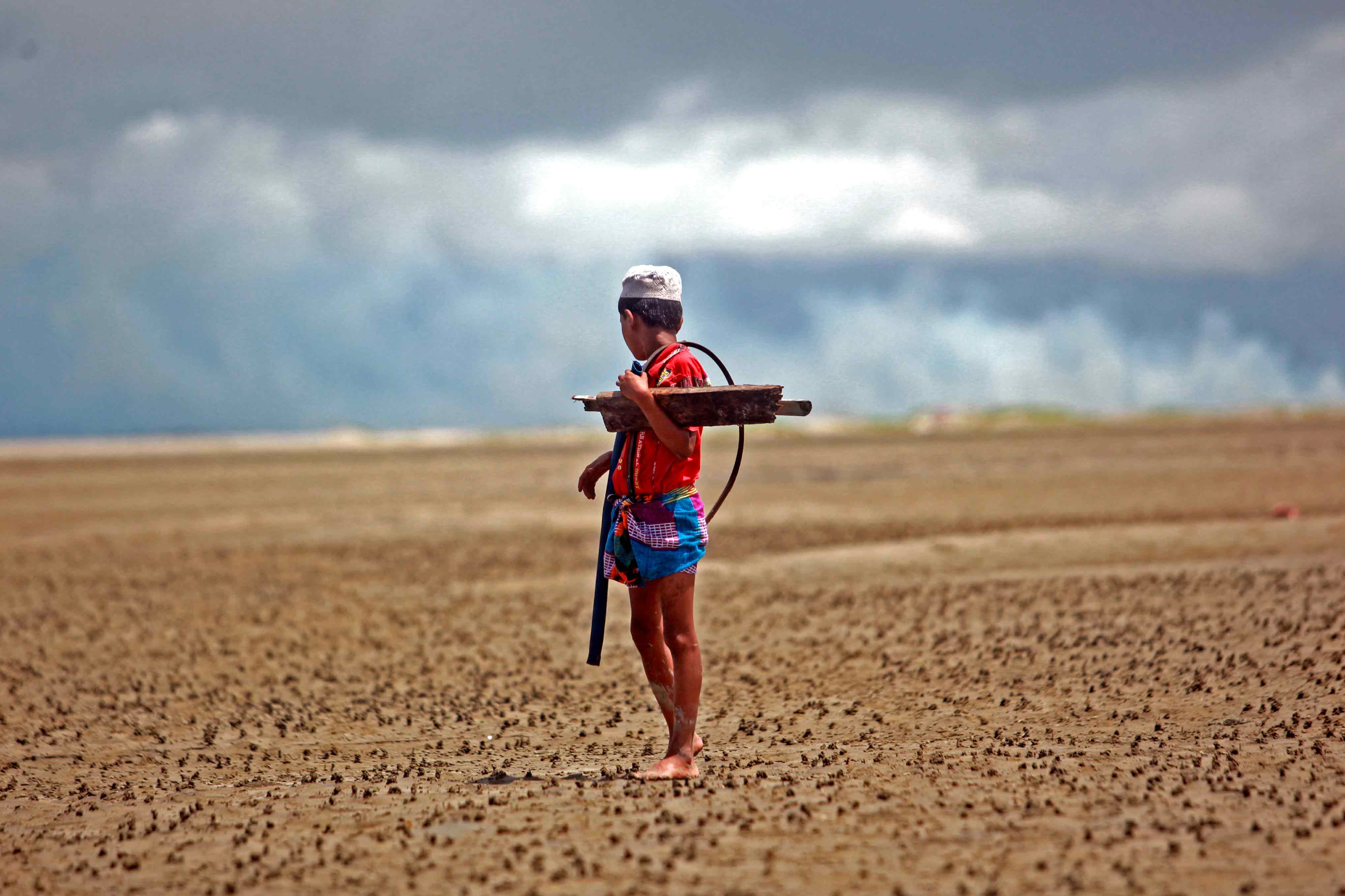 Rohingya Chronicles